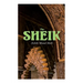 The Sheik: Desert Romance