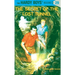 Hardy Boys 29: The Secret of the Lost Tunnel
