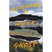 Aligning the Glacier's Ghost: Essays on Solitude and Landscape