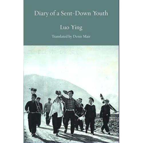 Diary of a Sent-Down Youth