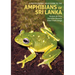 A Photographic Field Guide to the Amphibians of Sri Lanka