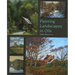 Painting Landscapes in Oils