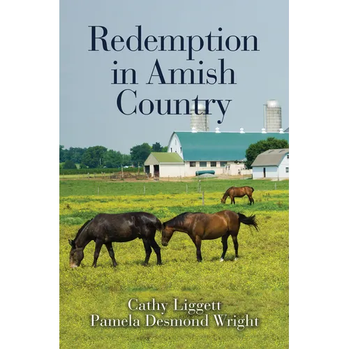 Redemption in Amish Country