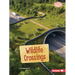 Wildlife Crossings