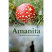 Amanita