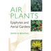 Air Plants: Epiphytes and Aerial Gardens