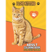 I Love Kittens Adult Coloring Book For Cat Lover: A Fun Easy, Relaxing, Stress Relieving Beautiful Cats Large Print Adult Coloring Book Of Kittens, Ki