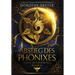 Abstieg des Phönixes