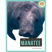Manatee