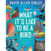 What's It Like to Be a Bird: From Flying to Nesting, Eating to Singing--What Birds Are Doing, and Why