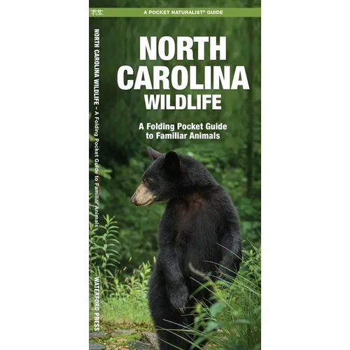 Maine Wildlife: A Folding Pocket Guide to Familiar Animals