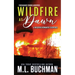Wildfire at Dawn: a wildfire smokejumper romantic suspense