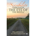 Sensibility Through the Eye of the needle