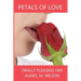 Petals of love Orally Pleasing Her