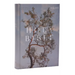 NRSV Catholic Edition Bible, Eucalyptus Hardcover (Global Cover Series): Holy Bible