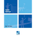 Agile Design: A set of best practices for an evolutionary design of information systems