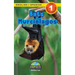 Bats / Murciélagos: Bilingual (English / Spanish) (Inglés / Español) Animals That Make a Difference! (Engaging Readers, Level 1)