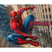 Spider-Man: Brand New Day - The Art of the Movie