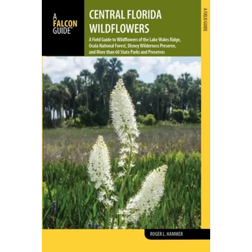 Central Florida Wildflowers
