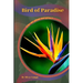 Bird of Paradise: Why my Plant not grow? problems and their solutions