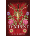 Tempest: Book II of the Rhidge