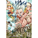 Dr. Stone, Vol. 12