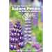 A Spring Season of Nature Poems for Catholic Children