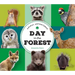 Animal Adventures: Day in the Forest