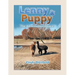 Lenny & Puppy: The Adventurous Alpacas