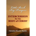 Little Book, Big Prayers: Intercession for the Body of Christ