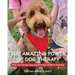 The amazing power of dog therapy: How my therapy dog transformed children's learning