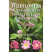 Wildflowers of Massachusetts, Connecticut, and Rhode Island in Color