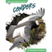 Condors