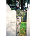 like an angel dead in your arms: early poems 1995-1999