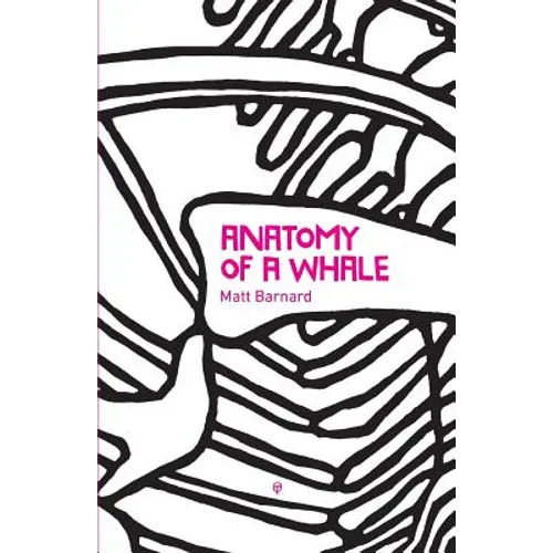 Anatomy of a Whale