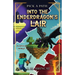 Into the Enderdragon's Lair