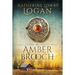 The Amber Brooch: Time Travel Romance