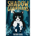 Shadow Guardians: Seer