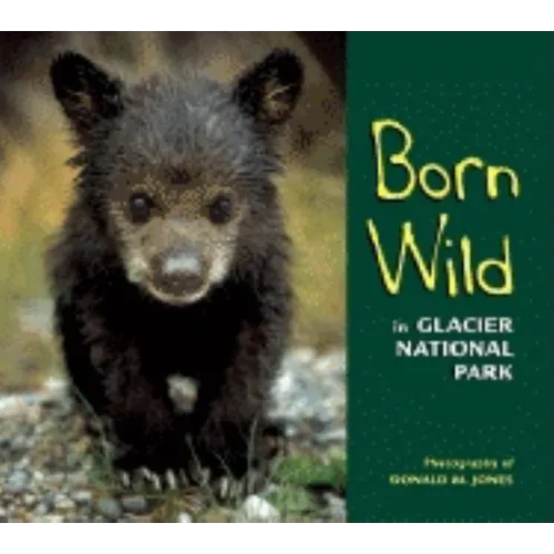 Born Wild in Glacier National Park