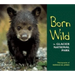 Born Wild in Glacier National Park