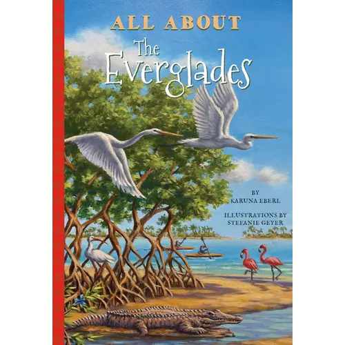 All about the Everglades
