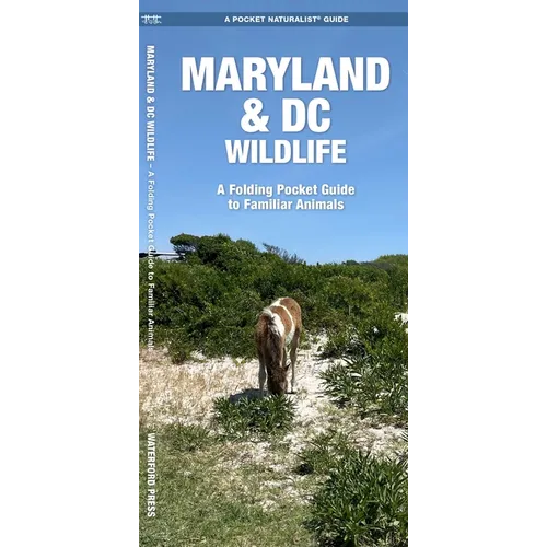 Maryland & DC Wildlife: A Folding Pocket Guide to Familiar Animals