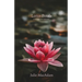 Longing & Learning