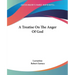 A Treatise On The Anger Of God