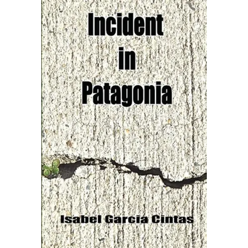 Incident in Patagonia