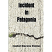 Incident in Patagonia
