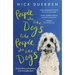 People Who Like Dogs Like People Who Like Dogs: Extraordinary Encounters in an Ordinary Park