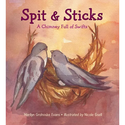 Spit & Sticks: A Chimney Full of Swifts