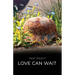 Love Can Wait