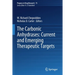 The Carbonic Anhydrases: Current and Emerging Therapeutic Targets